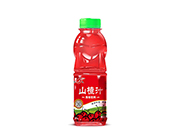 洁洁乐郝氏山楂汁果味饮料430ml