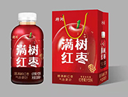 特润满树红枣果汁饮料380ml